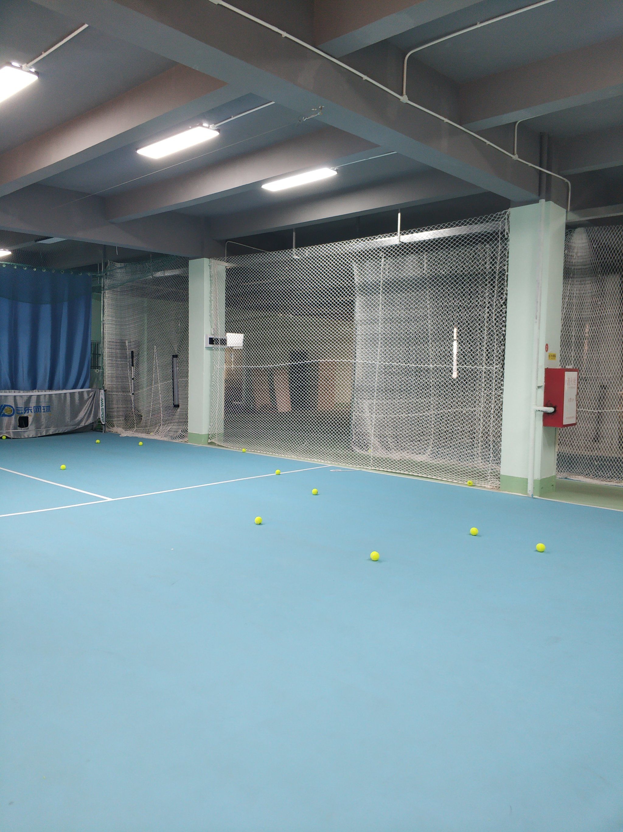 本文将深入 本文将深入