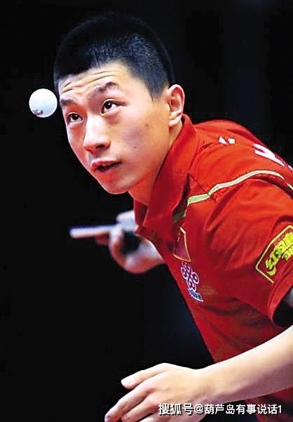 本地企业的 本地企业的