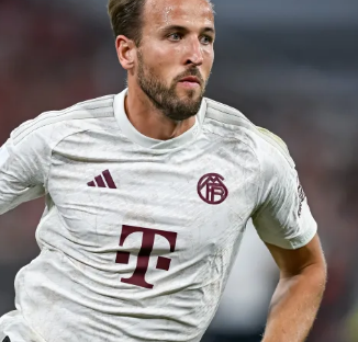 的健康意识 的健康意识