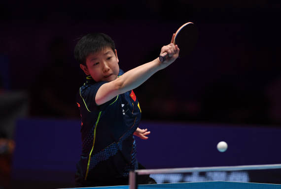 的观赏性和 的观赏性和